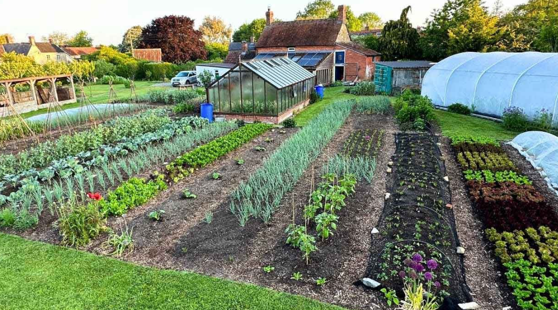 an allotment